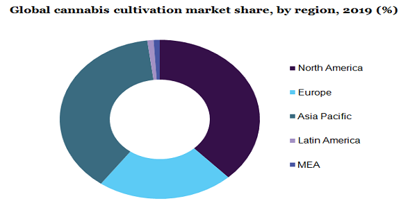 Global cannabis cultivation market