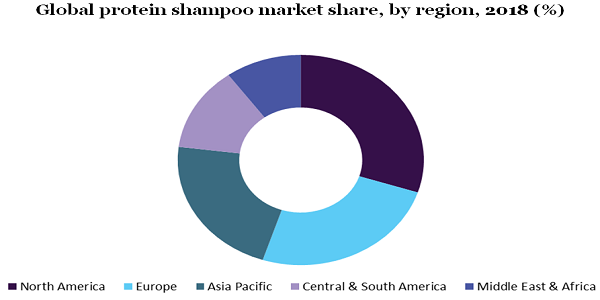Global protein shampoo market
